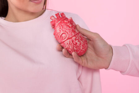 anatomia człowieka gdzie jest serce