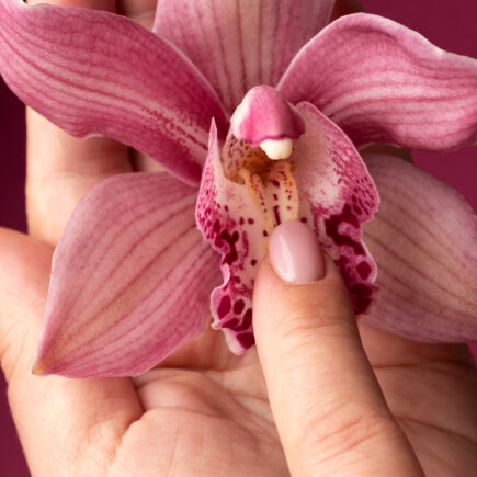 Łechtaczka jak orchidea